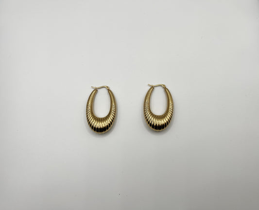 Aretes Encanto Real